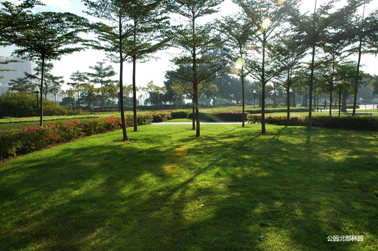 20140507021326137.jpg